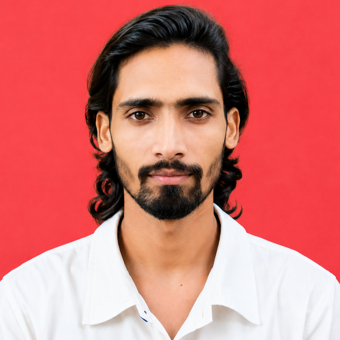 Bibek Ray